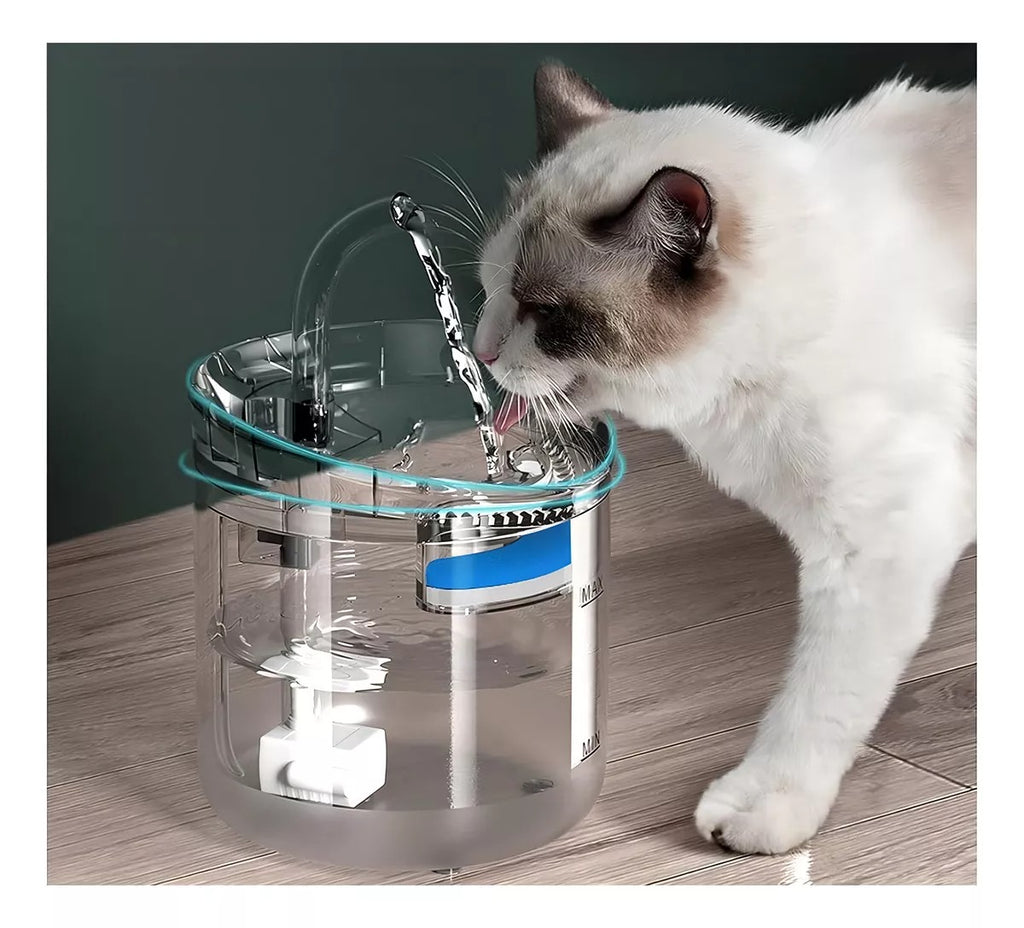 💦 Fuente de Agua Automática pata tu mascota