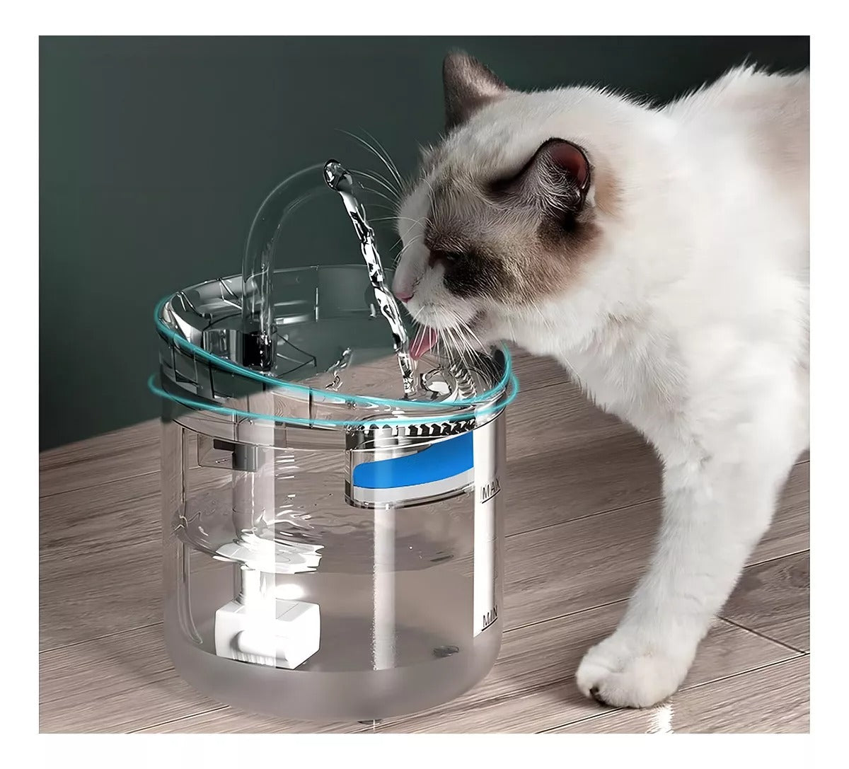 💦 Fuente de Agua Automática pata tu mascota